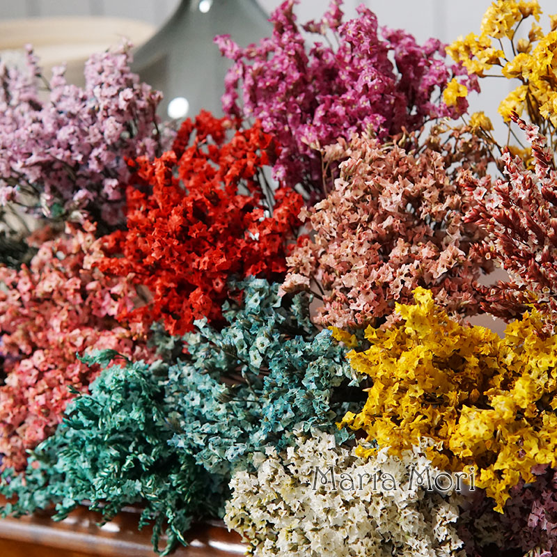 5g/ Colorful Dired Preserved C - Candle Making Uk 评论和价格