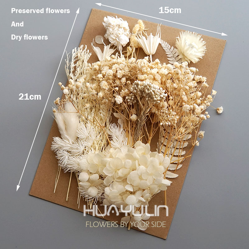 1 Pack Artificial Plants Dried - Candle Making Uk 评论和价格